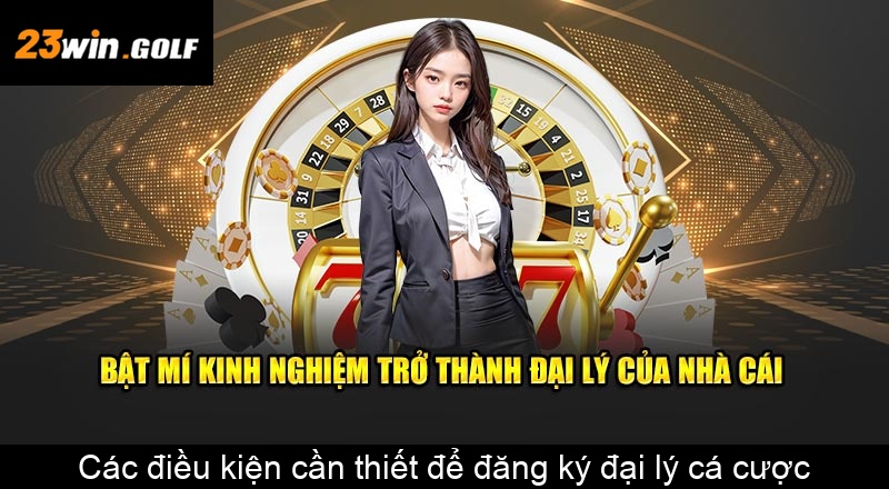 Các điều kiện cần thiết để đăng ký đại lý cá cược