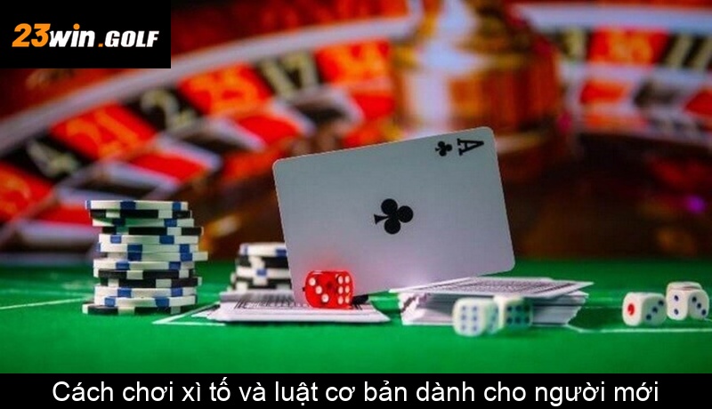 Cách chơi xì tố và luật cơ bản dành cho người mới