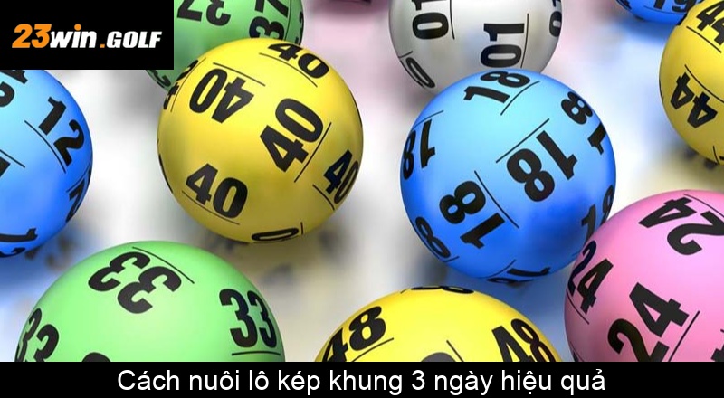 Cách nuôi lô kép khung 3 ngày hiệu quả