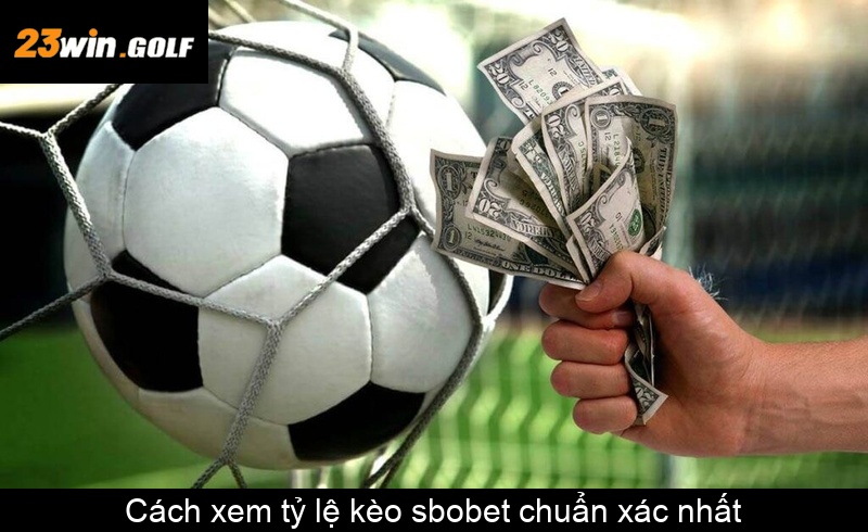 Cách xem tỷ lệ kèo sbobet chuẩn xác nhất