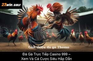 Cách Xem Đá Gà Trực Tuyến Đơn Giản, Nhanh Chóng Và Miễn Phí