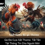 Gà Đá Cựa Sắt Thomo Tất Tần Tật Thông Tin Cho Người Mới