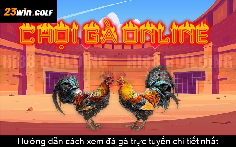 Hướng dẫn cách xem đá gà trực tuyến chi tiết nhất