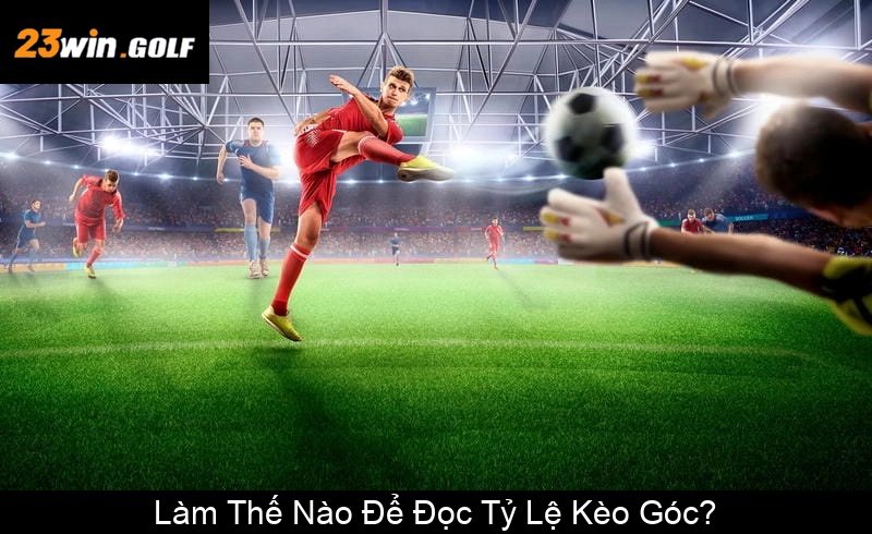 Làm Thế Nào Để Đọc Tỷ Lệ Kèo Góc
