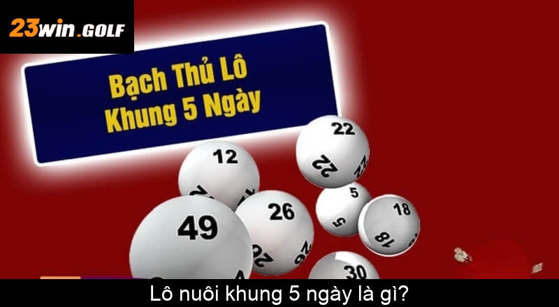 Lô nuôi khung 5 ngày là gì