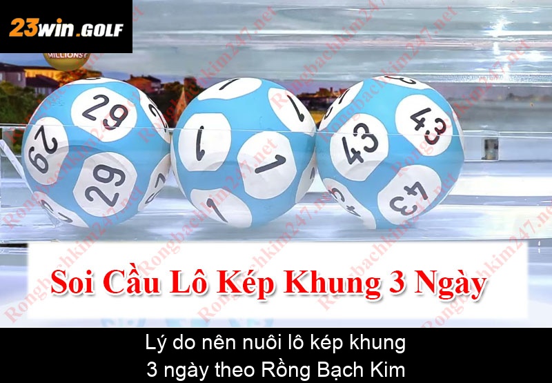 Lý do nên nuôi lô kép khung 3 ngày theo Rồng Bạch Kim