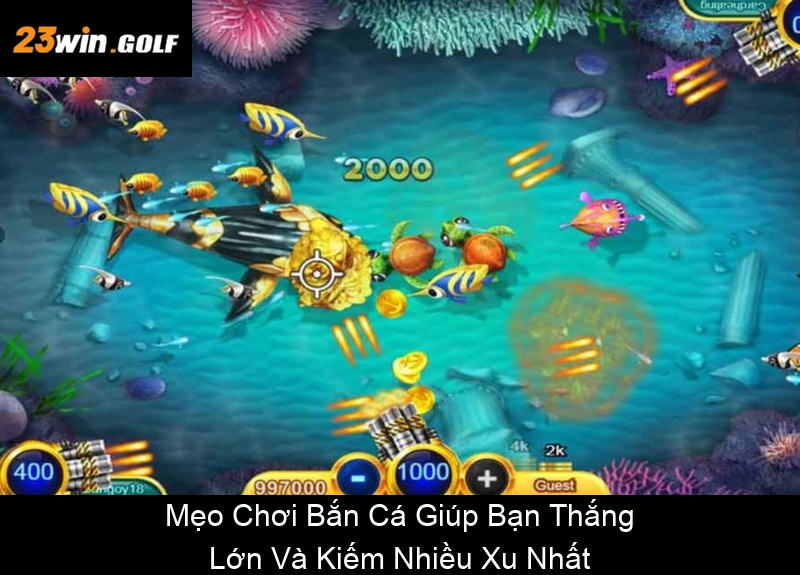Mẹo Chơi Bắn Cá Giúp Bạn Thắng Lớn Và Kiếm Nhiều Xu Nhất