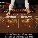 Những Thuật Ngữ Về Baccarat Cần Biết Để Chơi Hiệu Quả 2025