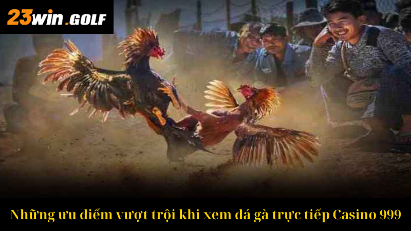 Những ưu điểm vượt trội khi xem đá gà trực tiếp Casino 999