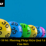 Nuôi Dàn Đề 10 Số Phương Pháp Hiệu Quả Và Những Điều Cần Biết