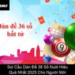 Soi Cầu Dàn Đề 36 Số Nuôi Hiệu Quả Nhất 2025 Cho Người Mới
