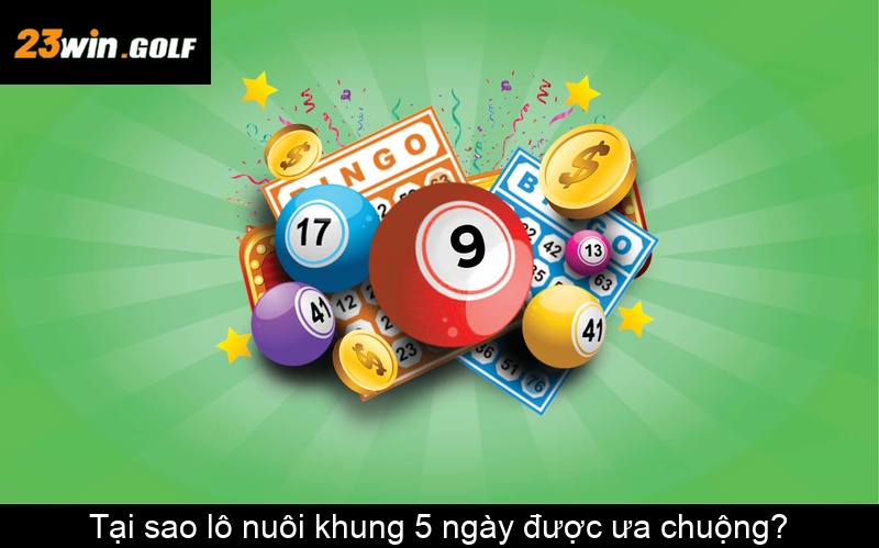 Tại sao lô nuôi khung 5 ngày được ưa chuộng